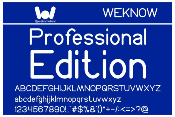 Professional Edition: A Minimal Sans Serif Font for Modern Editorial Design