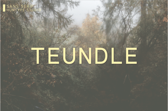 Teundle: A Clean Sans Serif Font for Editorial Design
