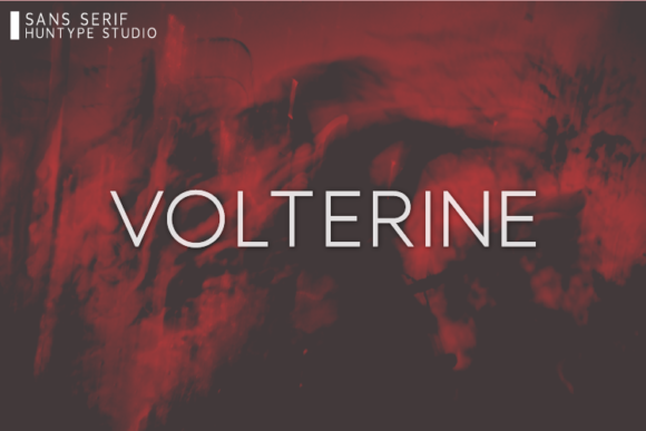Volterine: A Clean Sans Serif Font for Modern Brands