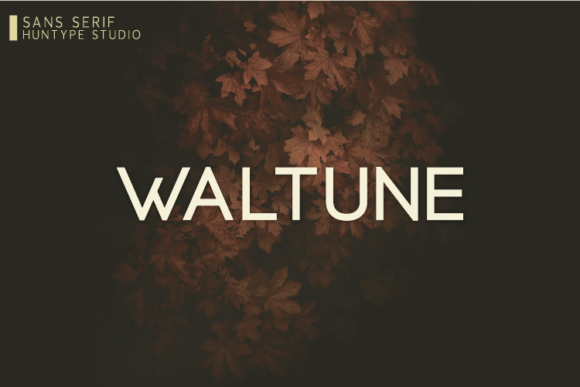 Waltune: The Minimal Sans Serif Font for Clear Campaigns